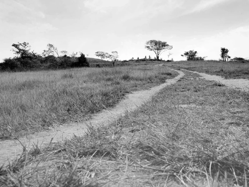 ANA-CAROLINA-ATALIBA-1