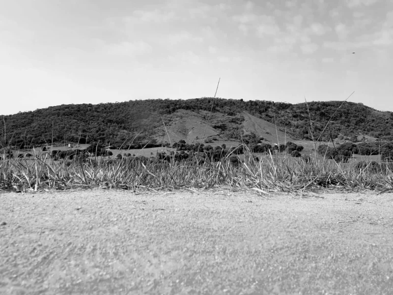 ANA-CAROLINA-ATALIBA-3