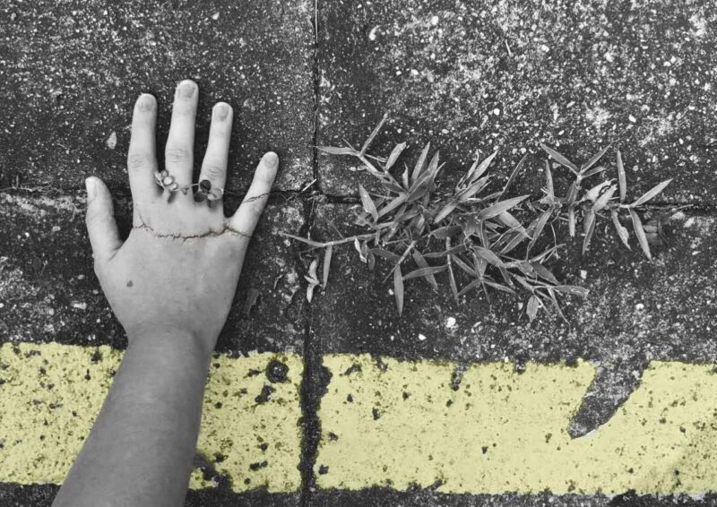 NICOLLE-MOTTA-CHRISTIE-ELLER-ALÉXIA-MASSENA-02